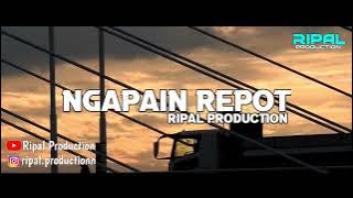 DJ SLOW REMIX COCOK UNTUK PERJALANAN JAUH!!! Ngapain Repot (Ripal Production)