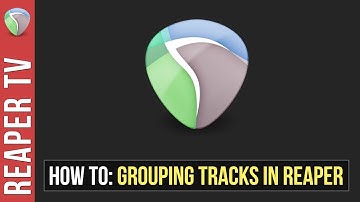 Reaper Tutorial: How To Group Track Parameters