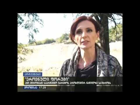 ანი მიროტაძე \"ქართულ ოცნებას\" ბანერის დაზიანებაში ადანაშაულებს