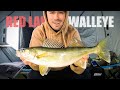 Best tips for walleyes on upper red lake first ice 2023