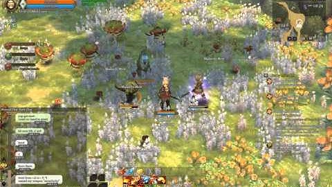 Tree of Savior Steam , Botter and hacker