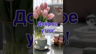 Доброе 🌞Утро #Доброеутро #Пожеланиедрузьям #Февраль