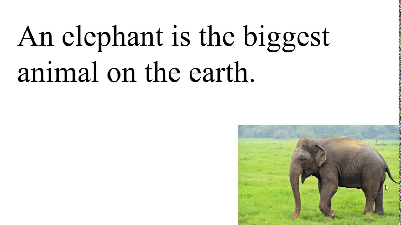 Short and Long Essay on Elephant for Students