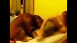 Собака трахает девушку зоофилка / Видео