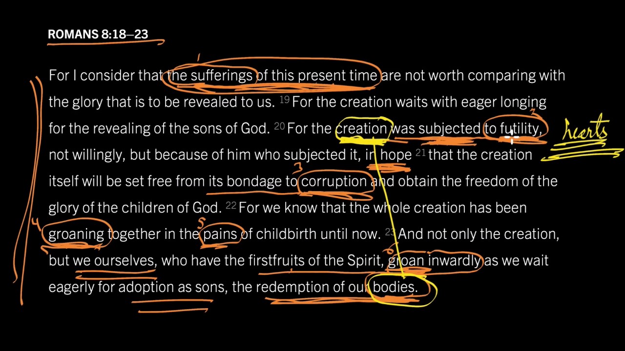 Romans 8 18 23 Suffering Exposes Our Sin Desiring God