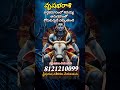 వృషభరాశి కార్తీక మాసంలో శివయ్య అనుగ్రహంతో కోరుకుంటూ దక్కుతాయి #astrologytelugu #vrishabharashi #om