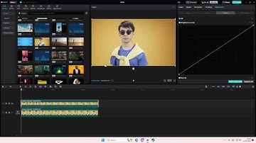Inverted Color Tutorial! How You Can Make The Colors On Your Videos Inverted On The CapCut PC App?