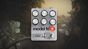 Electronic Audio Experiments Model feT Demo