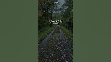 اسلام صبحي - سورة المعارج #اكسبلور #قرآن #بودكاست #لايك #تيك_توك #ترند #راحه_نفسيه #حالات_واتس