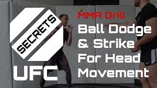 Ball Dodging & Punching DRILL For Head Movement