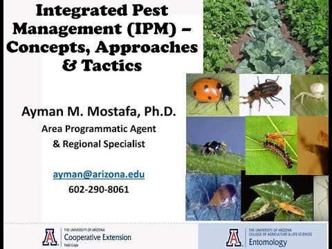 Integrated Pest Management Sept 14, 2020 - Colloquium