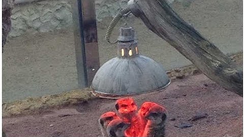 memes i found on reddit for 1 minute