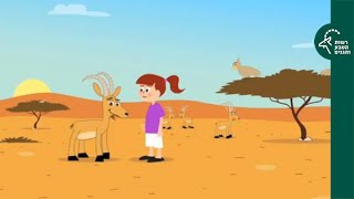לא משאירים עקבות ושומרים על הטבע