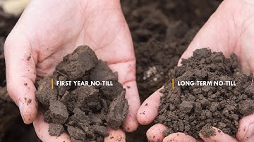 Side-By-Side Comparison: Till vs No-Till (Vlieger 3/7)