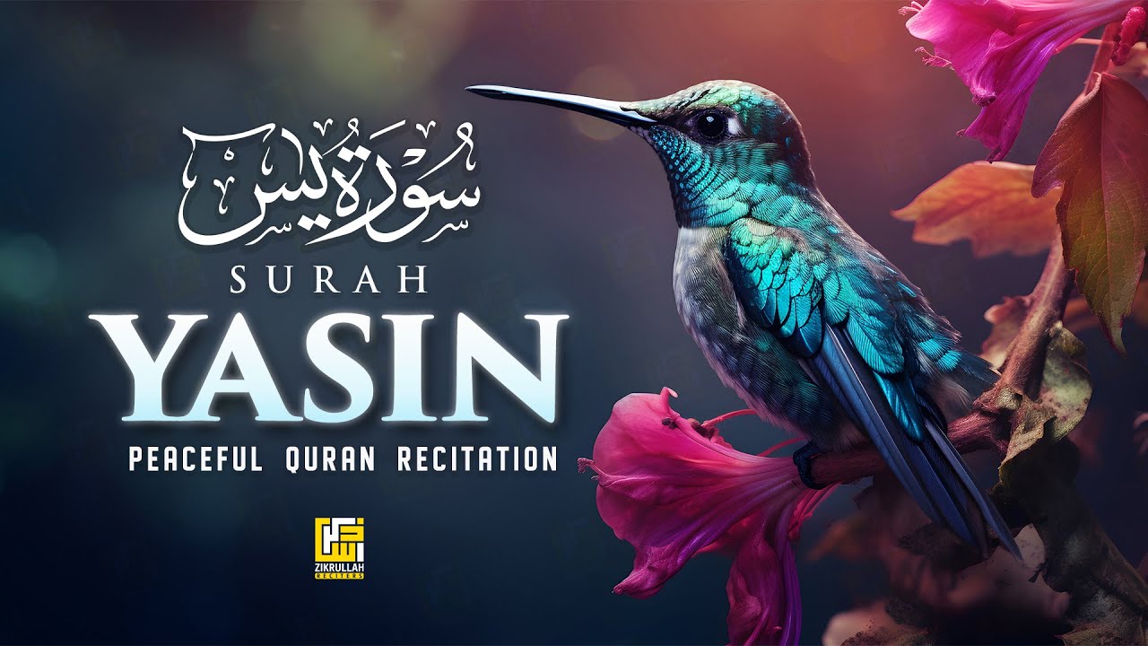 Surah Yasin (سورة يس) | Most Heart Soothing Quran Recitation | Zikrullah Reciters