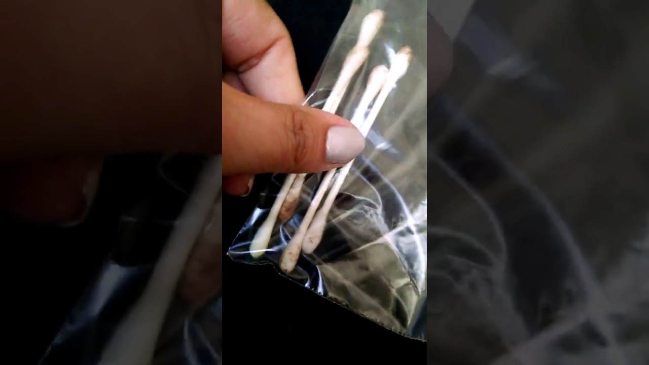 Petsmart Grooming and military discount PissedConsumer Review YouTube