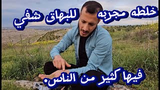 الخله البريه (الشيطانيه ) لعلاج البهاق