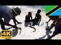 【4K】 Moray Eel Matemwe Beach Zanzibar