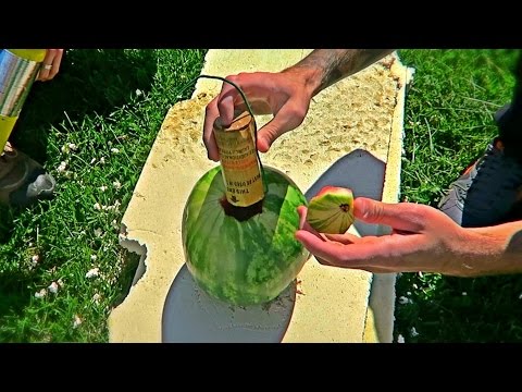 Watch A Mortar Blow Up A Watermelon