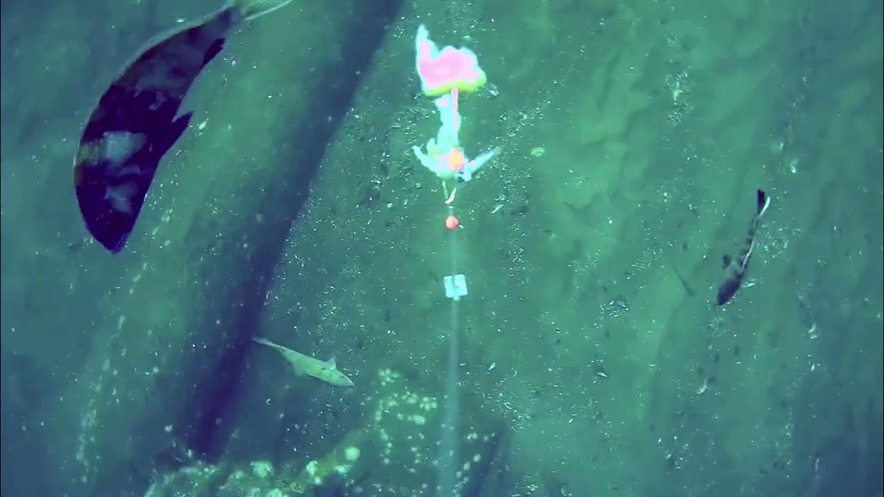 fishing the sea girt reef 6 miles off the coast . a underwater camera