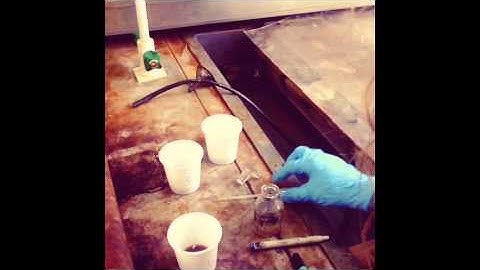 Stone Lithography - The First Etch