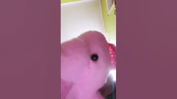 انا جعانه مفيش حد في البيت انا مش لاقيه اكل 