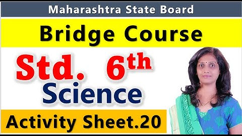 Setu Abhyaskram 6th class Science Day 34 Bridge Course class 6th Science activity 20 answers 6th