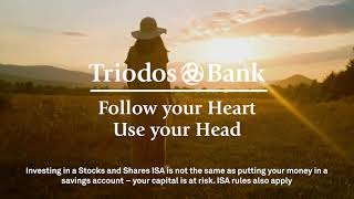 Triodos Stocks And Shares Isa - Trainers From Ocean Plastic - Isnt Sustainability Amazing?