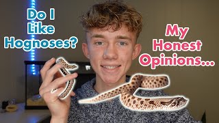 My First Impressions of Hognose Snakes! (What I learned after two months...)