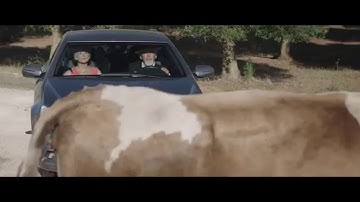 CYBEX : Don’t STOP your music, PLAY the safety !