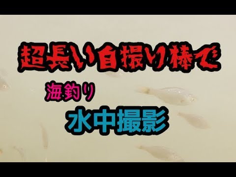 超長い自撮り棒で水中撮影【海釣り】なかなか釣れないサビキ釣り・・・