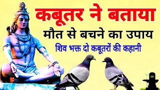 कबूतर ने बताया मौत से बचने का उपाय " शिव भक्त दो कबूतरों की कहानी/Gyanvardhk kahani,