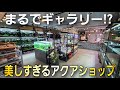 まるで海外のギャラリー⁉おしゃれ過ぎるアクアショップ‼ 【エビノカカト】aquarium アクアリウム シュリンプ ビーシュリンプ スラウェシシュリンプ 水草 流木 パルダリウム