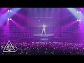 Daddy Yankee - Brussels (2013) [Live]