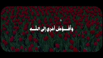 وَأُفَوِّضُ أَمْرِي إِلَى اللَّهِ ۚ إِنَّ اللَّهَ بَصِيرٌ بِالْعِبَادِ| سورة غافر الشيخ عبد الباسط