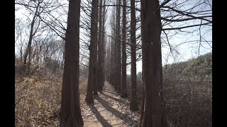 [4K] Walking at Goyang Ecological Park, Gyeonggi-do, Korea, healing video 한국 경기도 고양생태공원 산책, 힐링영상 by 코리아워커 South Korea walker_4K 31 views 3 months ago 29 minutes