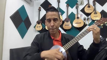 Actualización 3 Gana un Cuatro 4 Acordes Clave de Sol y un Estuche DT Premium