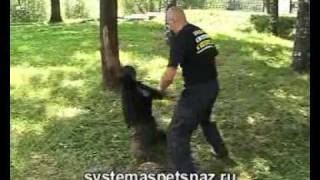 Система "СПЕЦНАЗ" Атака -Защита -Контратака Система "СПЕЦНАЗ" Атака -Защита -Контратака