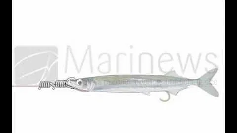 How to Tie Skip Garfish Rig