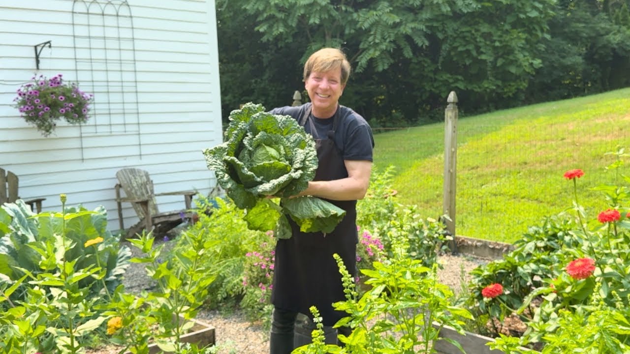 Let's Get Cozy! Cabbage Steaks, Garlic Magic, and a Parlor Door Glow-Up!