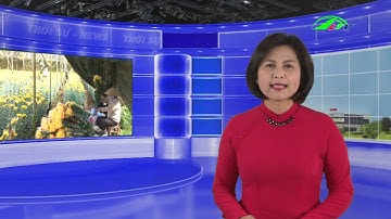 Thời Sự Lâm Đồng | Tin Tức Mới Nhất 24h Ngày 28/11/2019 Mới Nhất | Lâm Đồng TV