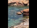 Ibiza Spain рџ Єрџ ё Ibiza Spain рџ Єрџ ё