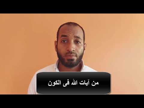 واختلاف ألسنتكم وألوانكم عدد لغات العالم آية من آيات الله