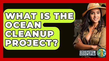 What Is The Ocean Cleanup Project? - Ecosystem Essentials