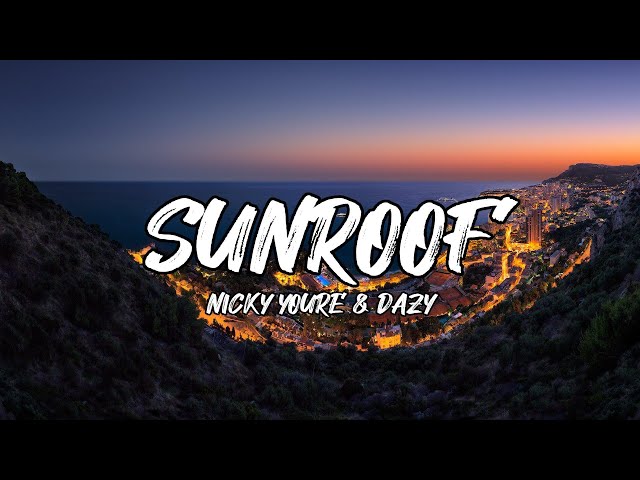 Nicky Youre, dazy - Sunroof (Lyrics) MIRACLES LYRICS INC class=