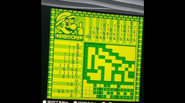 The Mario Picross Experience