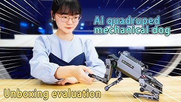 Yahboom 12DOF DOGZILLA Quadruped Bionic Robot Dog for Raspberry Pi 4B unboxing evaluation