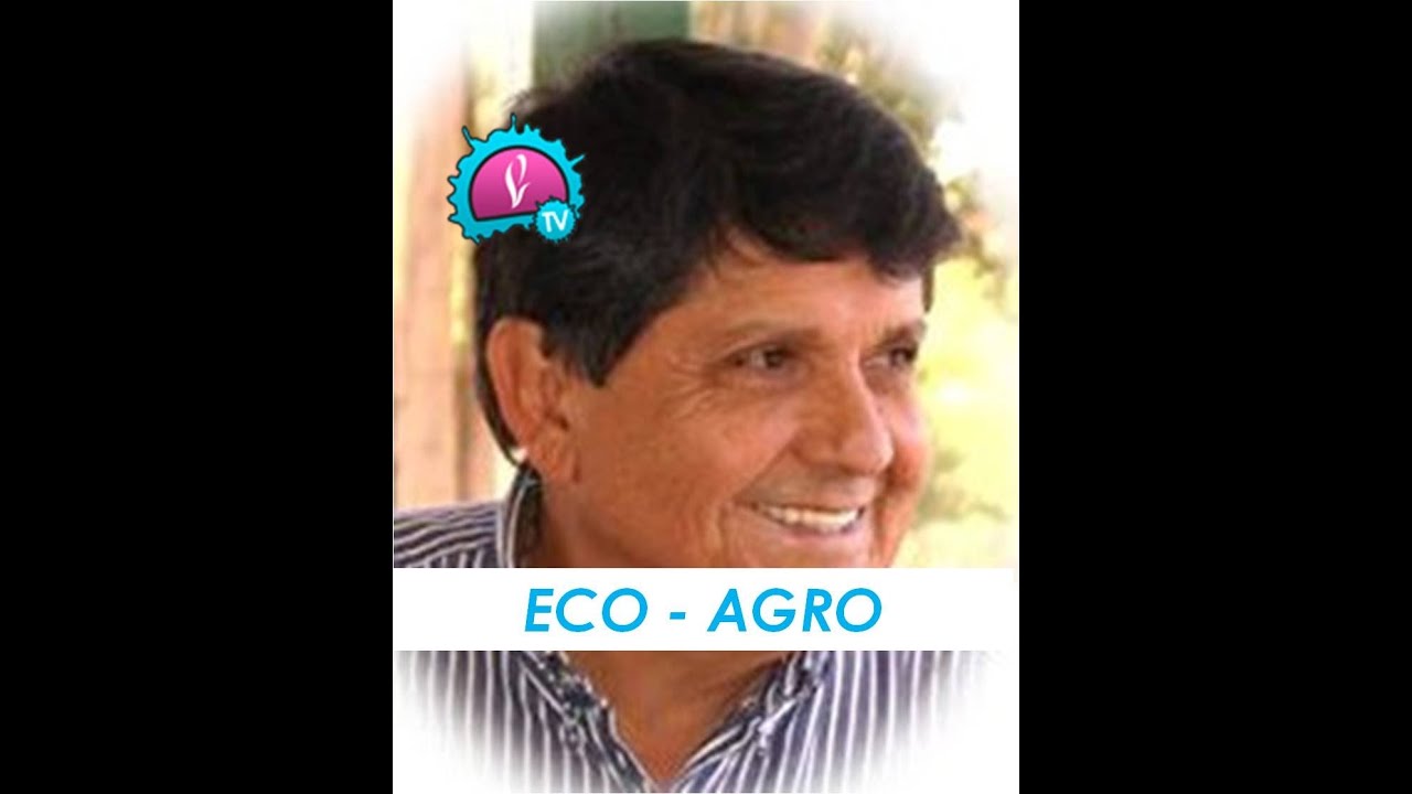 hangouts on air august 1 Eco - Agro - Energía viva y algo mas...