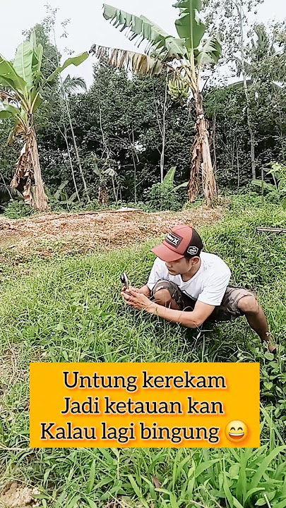 Untung kerekam jadi ketauan kan kalau lagi bingung 😀#hewanunik #binatangunik