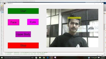 Face Detection in Matlab